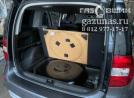 вместо запасного колеса лежит баллон объемом 54л, вид справа