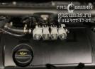 рампа газовых форсунок Valtek Type 33