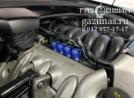 рампа газовых форсунок OMVL Gemini слева