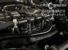 рампа газовых форсунок ALEX BARRACUDA