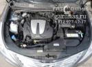 подкапотное пространство Hyundai Grandeur V (HG) 3.0i (250Hp) 2012г.в.