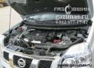 подкапотное пространство Nissan X-Trail II (T31) (дорестайл) 2.0i (140Hp) 2008г.в.